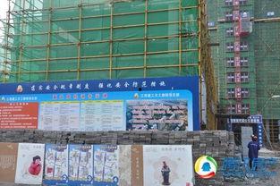 青云谱最新爆料,揭秘神秘势力背后的惊天秘密